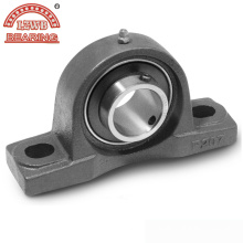 Competitive Price Pillow Block Bearing with Professional Equipments (UCPA204)